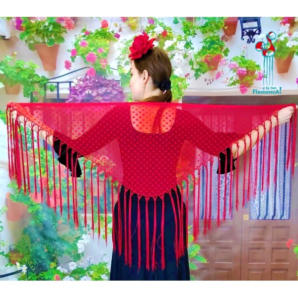 Pico de flamenca plumeti rojo