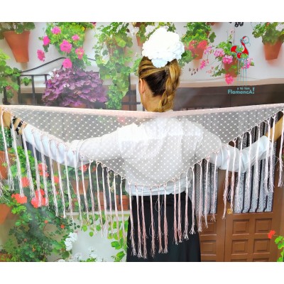 Pico de flamenca de plumeti rosa palo