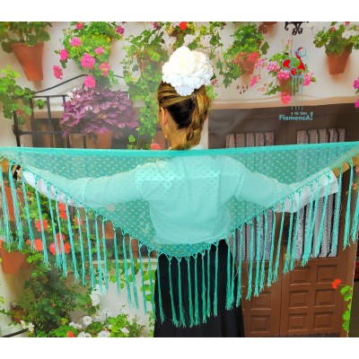 Pico de flamenca de plumeti verde aqua