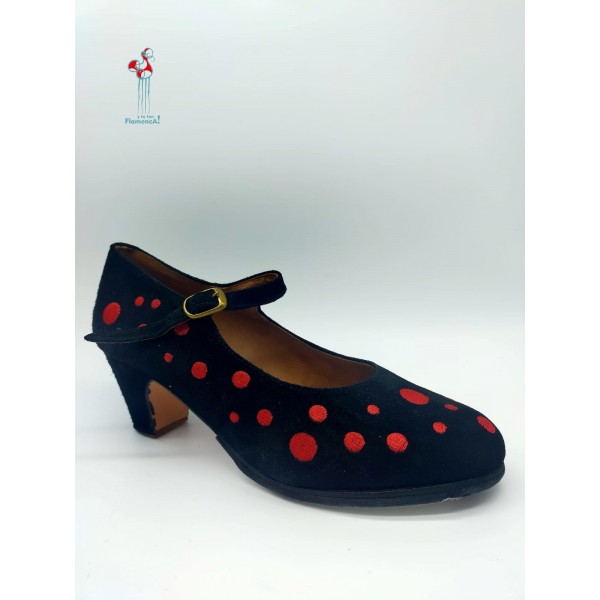 Zapato de baile de flamenco...